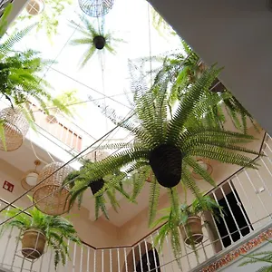 Gasthuis Cordoba, Sevilla